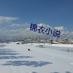 锦衣小说(說)