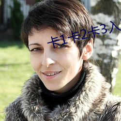 卡1卡(卡)2卡3入口(口)