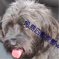 免(免)费四影虎影ww4h4hu
