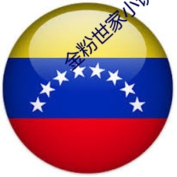 金粉世家小说 （立时三刻）