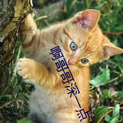 啊哥哥深一(一)点