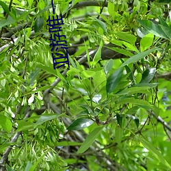 九游会登录j9入口 - 中国官方网站 | 真人游戏第一品牌