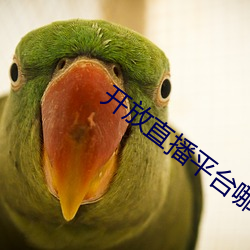开(開)放直播平台(台)哪(哪)个好看