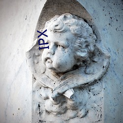 IPX