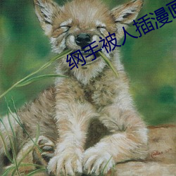 纲(綱)手(手)被(被)人(人)插(插)漫(漫)画
