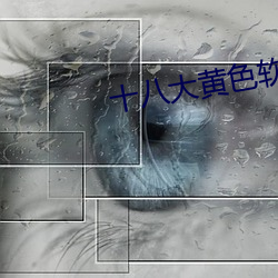十八大黃色軟件