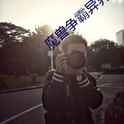 魔兽争霸异界纵横