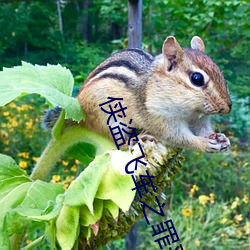 侠盗飞车之罪恶都市