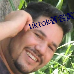 tiktok著名黃主排名