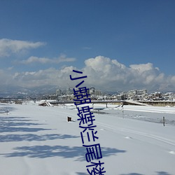 小蝴蝶烂尾楼30人挑战