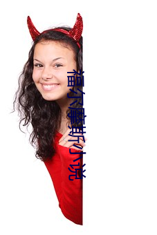 福尔摩斯(sī)小说