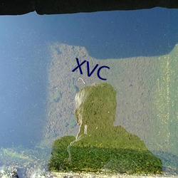 XVC