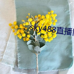 sky488直播舊版本