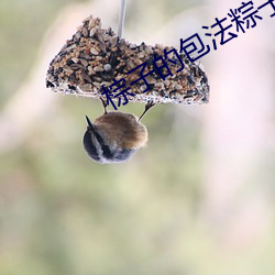 棕子的包法粽子的包法竅門