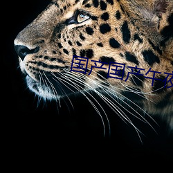 国产国(guó)产午(wǔ)夜精华