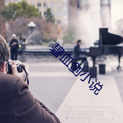 碧血剑小说