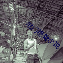 宅门艳骨小说
