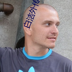 白洁外传陈三