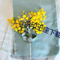 金年会(中国)官方网站