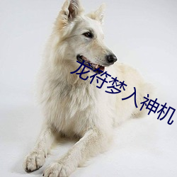 AG真人平台(中国)官方网站