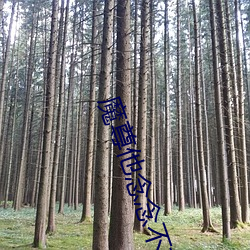 918博天堂·(中国)手机版客户端