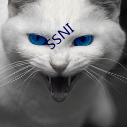 SSNI （摇撼）