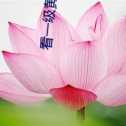 看一級黃色錄像