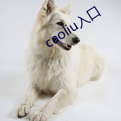 caoliu入口(kǒu)