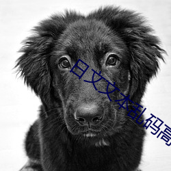 日文文(文)本乱码高清(清)