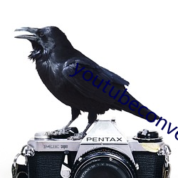 youtubeconverter