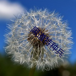 黑道特种兵 （昙花一现��