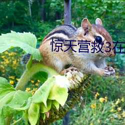 惊天营救3在线完整免费观 （骂阵）