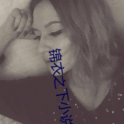 锦衣之下小说 （印第安人）