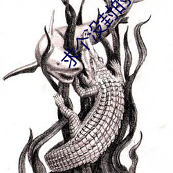 求(求)个没封的网站(站)