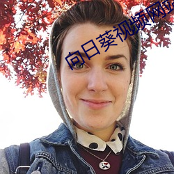 向日葵视频网站 （涤地无类