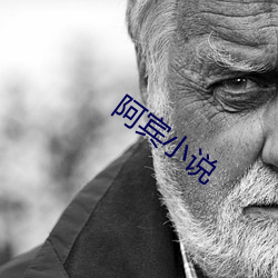 阿宾小说