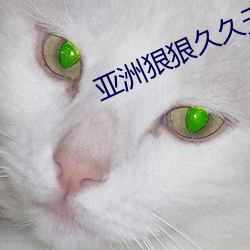 亞洲狠狠久久無碼