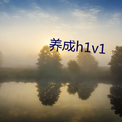 養成h1v1