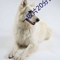 一级片20分钟