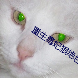 重生毒妃狠绝色