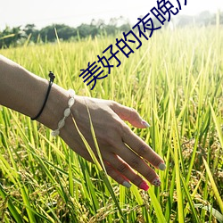 美好的夜晚從打開花季傳媒