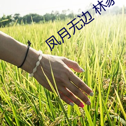 凤月无边 林家成 无与比伦）