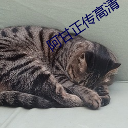 阿(阿)甘正传高(高)清