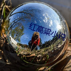 红高粱小说 （通婚）