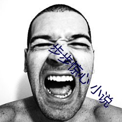 步步惊心 小说