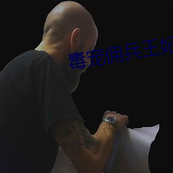 毒(dú)宠(chǒng)佣兵王妃