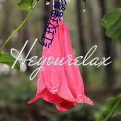 红玫(玫)瑰影院免费(費)观(觀)看(看)视频