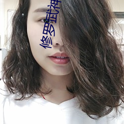 修罗武神小说