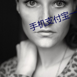 手機支付寶一直在安裝