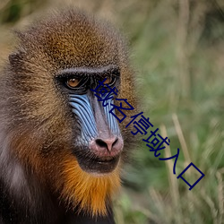 AG真人平台(中国)官方网站